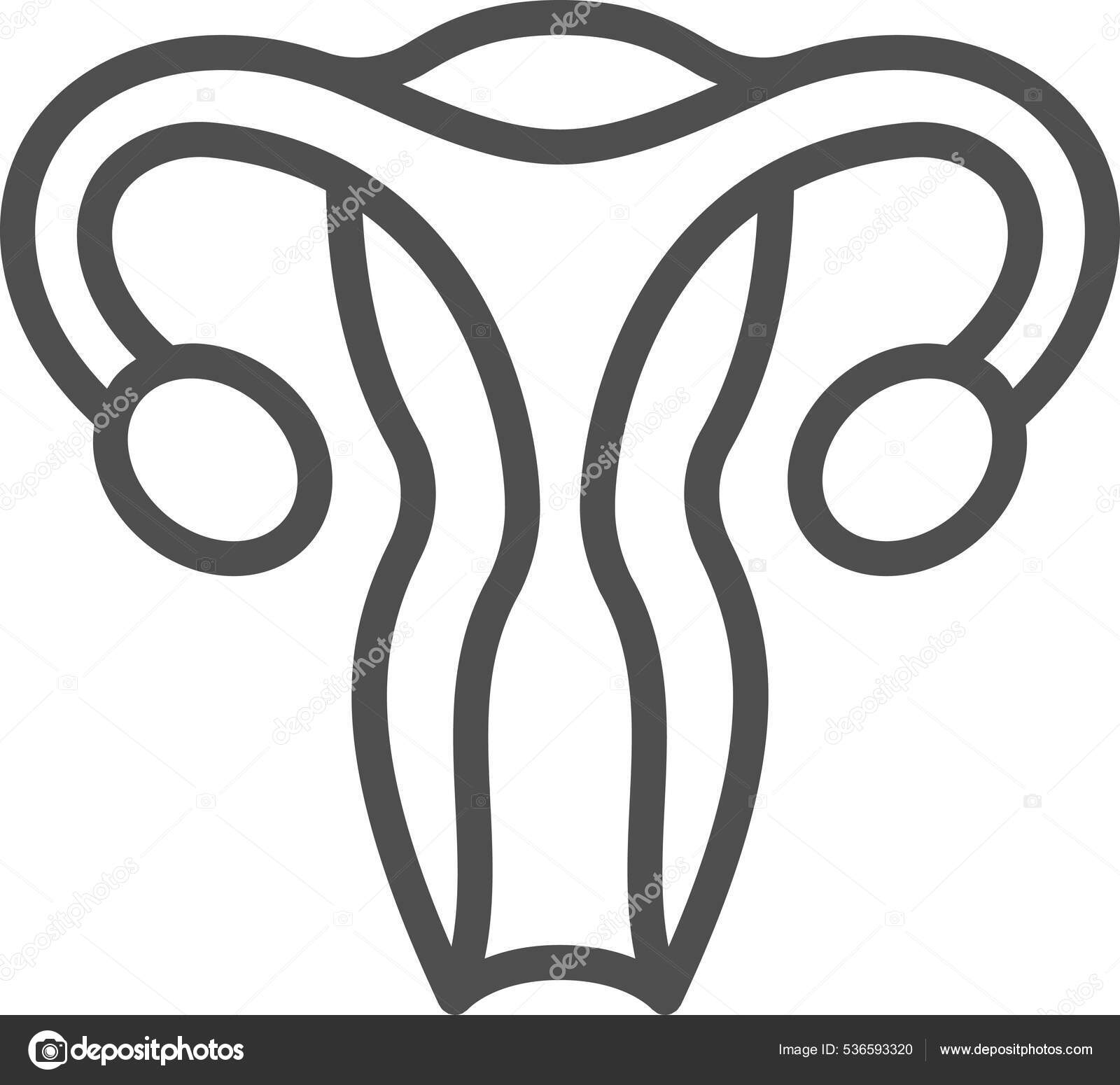 Uterus Fallopian Tubes Reproductive System Icon Stock Vector Image by ...