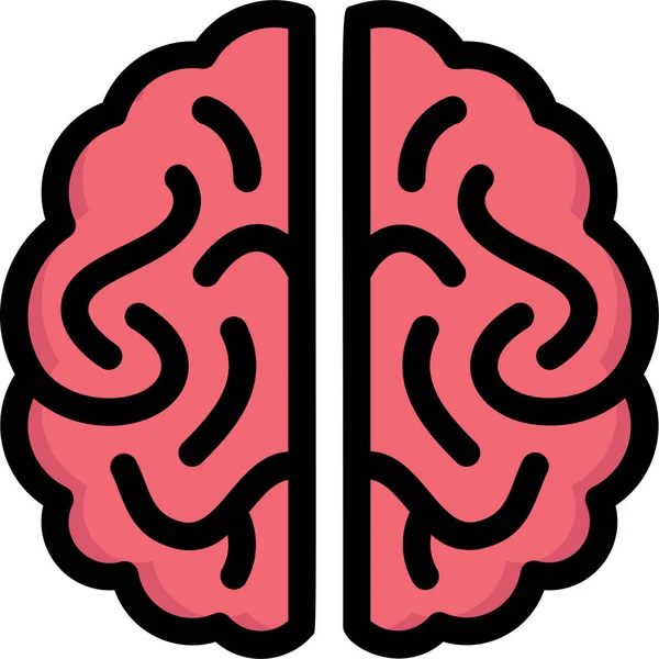 Ανατομία Βιολογία Εγκεφάλου Πλήρες Πρόσωπο Εικονίδιο — Διανυσματικό Αρχείο