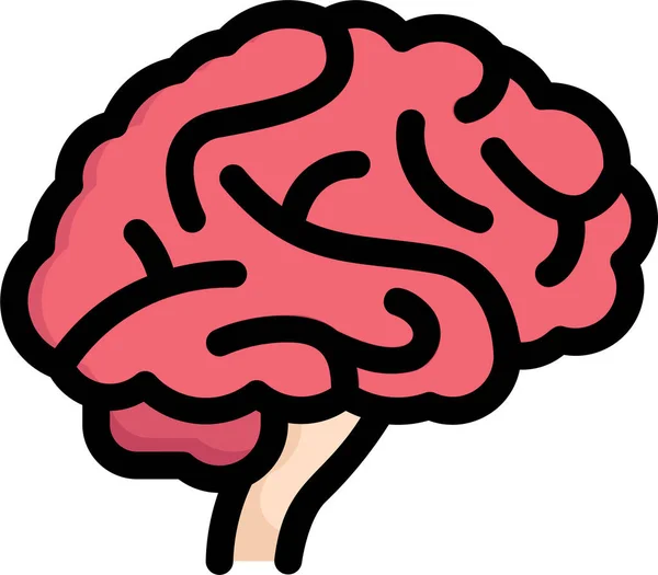 Anatomie Biologie Gehirn Seite Symbol — Stockvektor