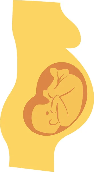 Baby Biologie Gezond Pictogram Platte Stijl — Stockvector