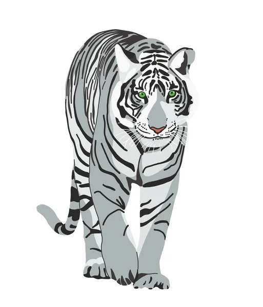 Tiger Hand Drawn Illustration White Tiger Isolated White Symbol Chinese — Vettoriale Stock