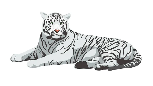 Tiger Hand Drawn Illustration White Tiger Isolated White Symbol Chinese — Vettoriale Stock