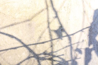 Güneş ışığı lekeli gölgeler 