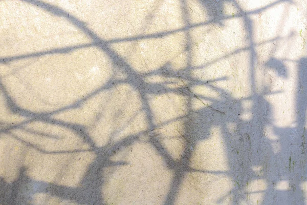 Sombras místicas Fondo de silueta — Foto de Stock