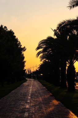 Akşamları gün batımının renginde yürürken. Tropik bir akşam konsepti. Geçit palmiye ağaçlarının siluetleriyle çevrili. 