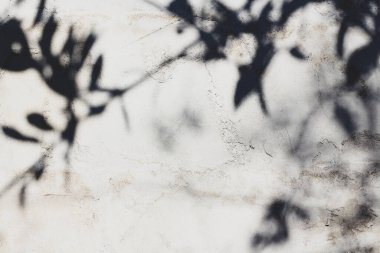 Güneş ışığı lekeli gölgeler silueti arkaplanı 