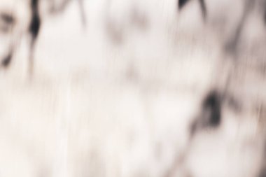 Bulanık efekt, ağaç yapraklı nötr duvar kağıdı köşelerde gölge silueti 