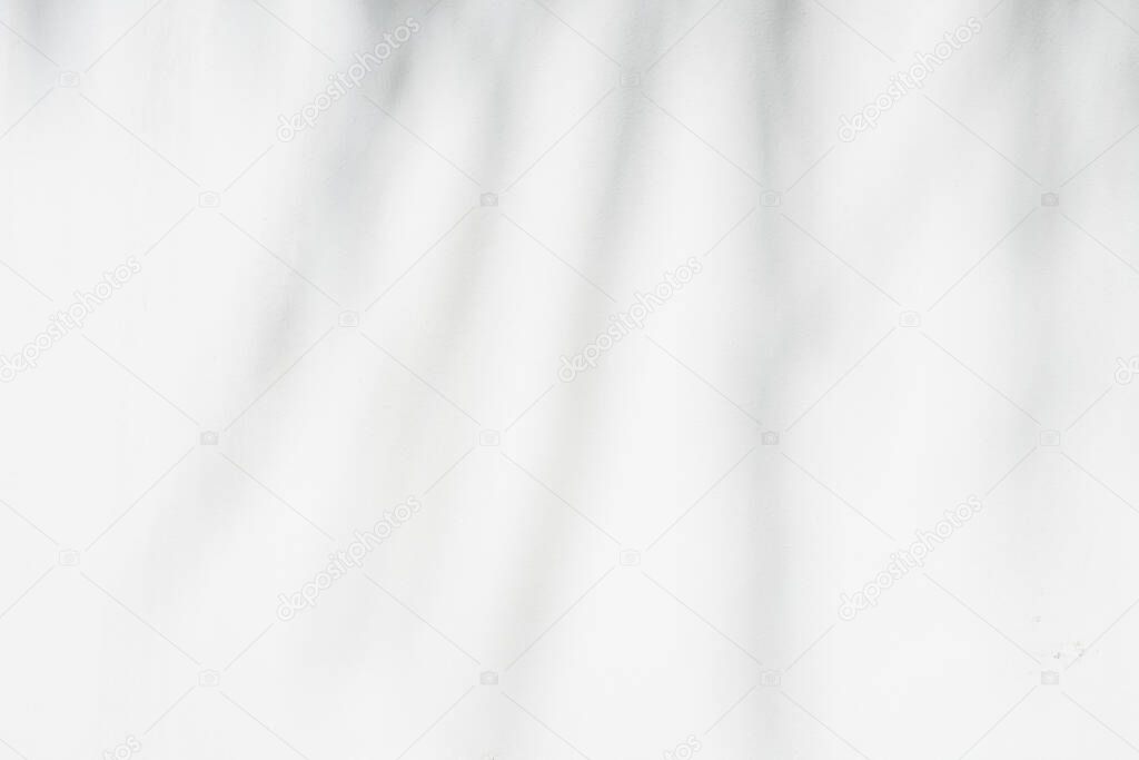 Gray background with palm tree leaves shadows silhouette 