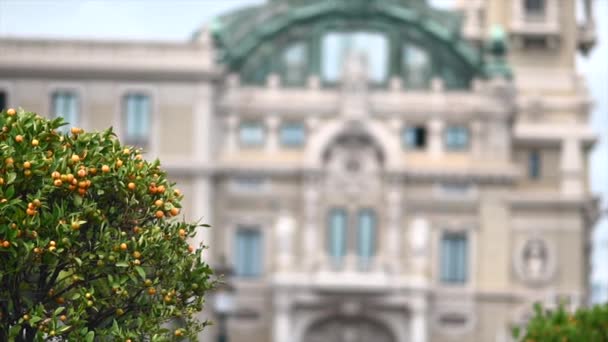 Kasino Monte Carlo Budova Monaku Zblízka Pohled — Stock video