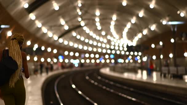 People Monte Carlo Train Station Monaco — Stock Video