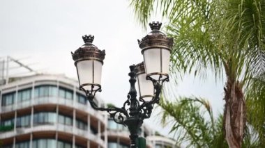 Monte Carlo semtinde yeşil palmiye ağaçları olan binalar, Monako