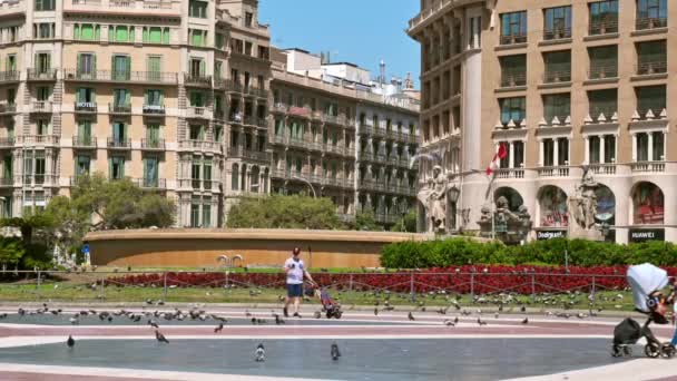 Barcelona Spagna Giugno 2021 Piazza Con Passeggiatori Piccioni Giardino Con — Video Stock