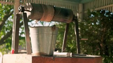 Bir kova ile kırsal kuyu, çevrede yeşillik