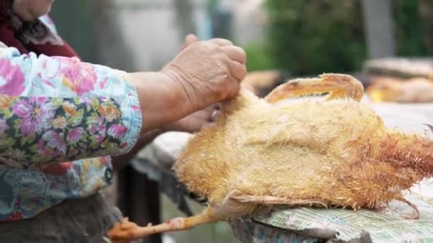 Ölü Bir Ördeği Yolan Bir Büyükanne Köy — Stok video