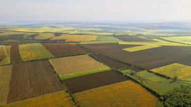 Moldova 'daki doğanın insansız hava aracı görüntüsü. Geniş araziler, köy, yol
