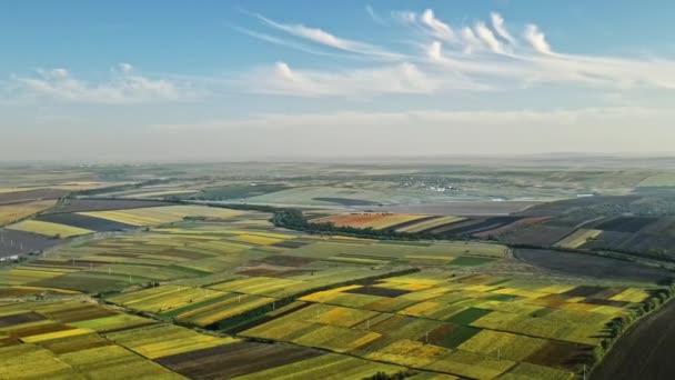 Вид Воздуха Природу Молдове Солнечную Погоду Широкие Поля Холмы Дороги — стоковое видео