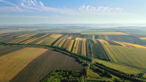 Moldova Güneşli Havalarda Doğanın Insansız Hava Aracı Görüntüsü Geniş Alanlar — Stok video