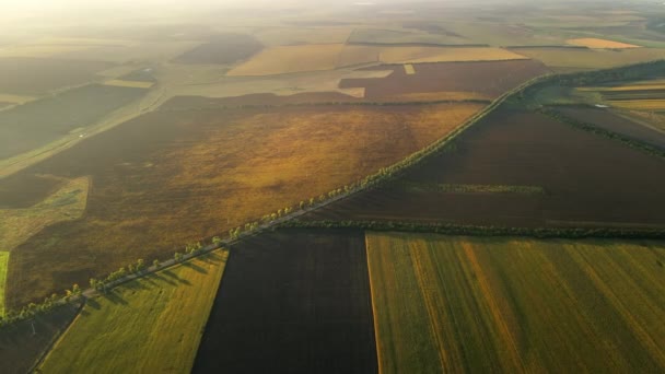Αεροφωτογραφία Drone Της Φύσης Στη Μολδαβία Ηλιοβασίλεμα Ευρεία Χωράφια Δρόμος — Αρχείο Βίντεο