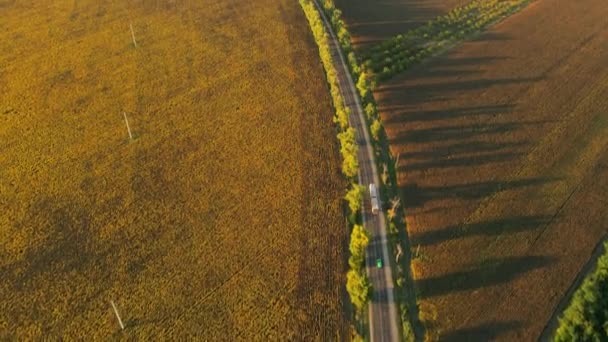Вид Воздуха Природу Молдове Закате Широкие Поля Дорога Движущимися Автомобилями — стоковое видео