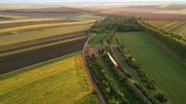 Воздушный Беспилотник Видит Движущийся Поезд Молдове Закате Природа Много Зелени — стоковое видео