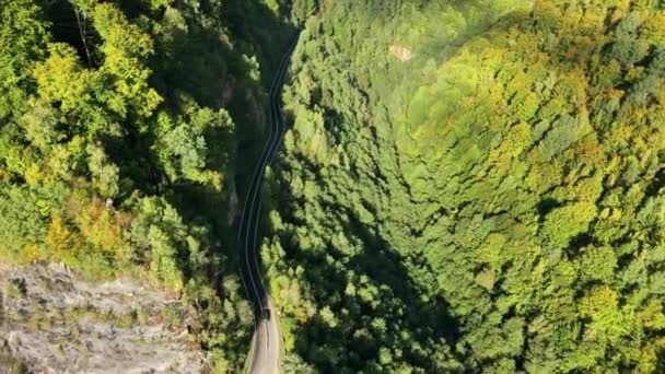 Vista Aérea Del Dron Naturaleza Rumania Cárpatos Montañas Colinas Exuberante — Vídeos de Stock