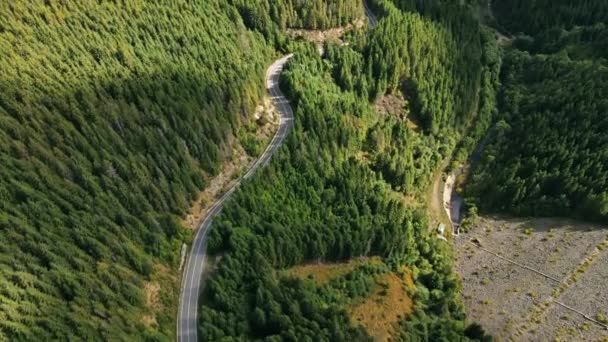 Aerial Drone View Nature Romania Carpathian Mountains Hills Lush Greenery — Stock Video