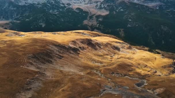 Luftdrone Visning Naturen Rumænien Karpatiske Bjerge Skråninger Sparsom Vegetation – Stock-video
