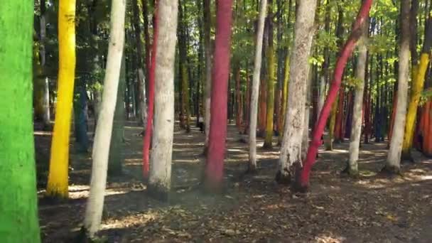 Floresta Colorida Com Visitantes Baia Fier Romênia — Vídeo de Stock