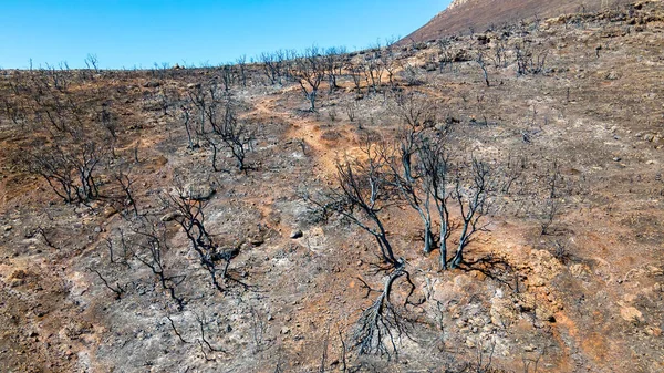 Légi Drónkép Görögországi Tüzek Következményeiről Égett Növényzet Hamu Szén — Stock Fotó