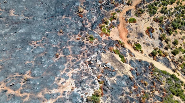 Vue Aérienne Par Drone Des Conséquences Des Incendies Grèce Végétation — Photo