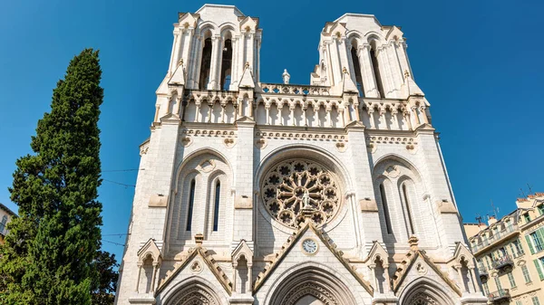Uitzicht Basiliek Van Notre Dame Nice Frankrijk Groene Boom Blauwe — Stockfoto