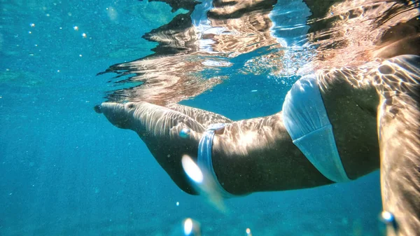 Frau Weißen Badeanzug Schwimmt Unter Dem Blauen Und Transparenten Wasser — Stockfoto