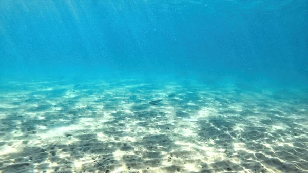 Der Grund Des Mittelmeeres Sonnenlicht Schwimmende Fische — Stockfoto