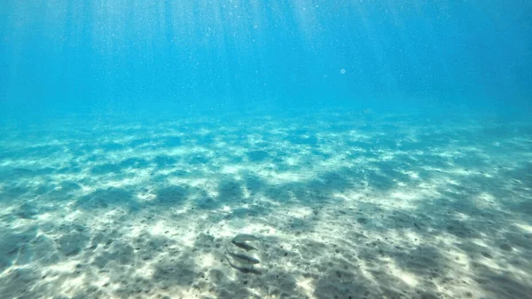 Dno Středozemního Moře Sluneční Světlo Plavecké Ryby — Stock fotografie