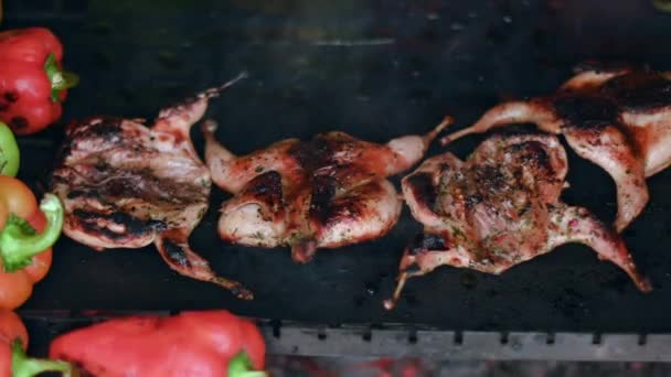 야채와 그릴에 쇠고기와 메추라기 — 비디오