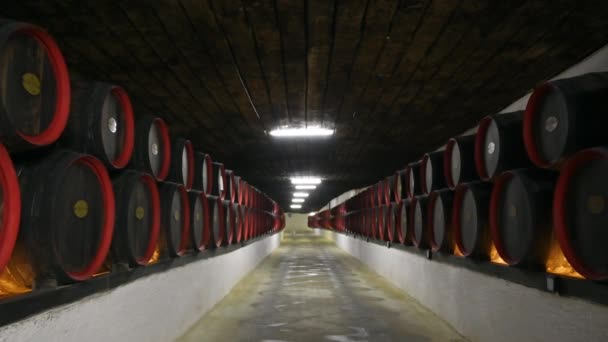 Cricova Moldova Ekim 2021 Cricova Şaraphanesi Ahşap Şarap Fıçıları — Stok video
