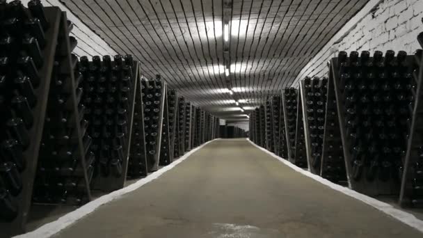 Wijnflessen Een Wijnkelder Ondergronds — Stockvideo