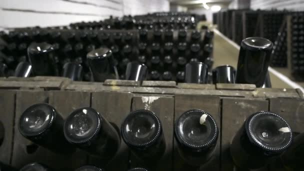 Botellas Vino Bodega Subterránea — Vídeo de stock