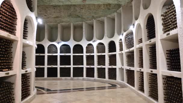 Cricova Moldova Outubro 2021 Caves Cricova Salas Coleta Vinhos Galeria — Vídeo de Stock