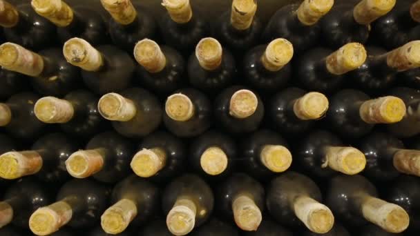 Wijnflessen Een Wijnkelder — Stockvideo