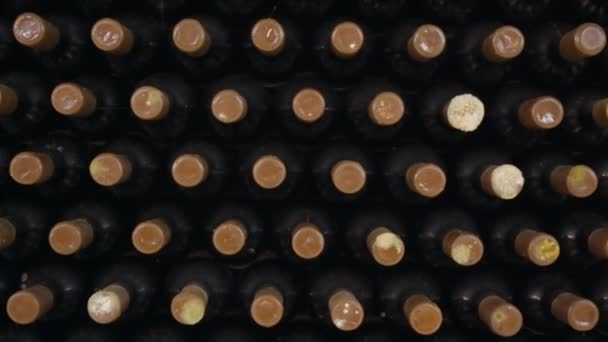 Wijnflessen Een Wijnkelder — Stockvideo