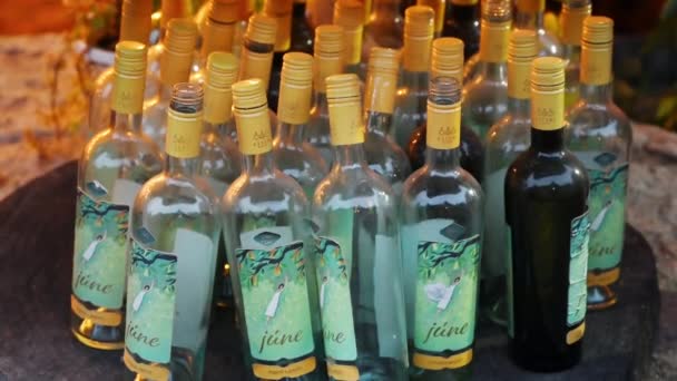 Puhoi Moldova Oktober 2021 Lege Wijnflessen Bij Wijnmakerij Asconi — Stockvideo
