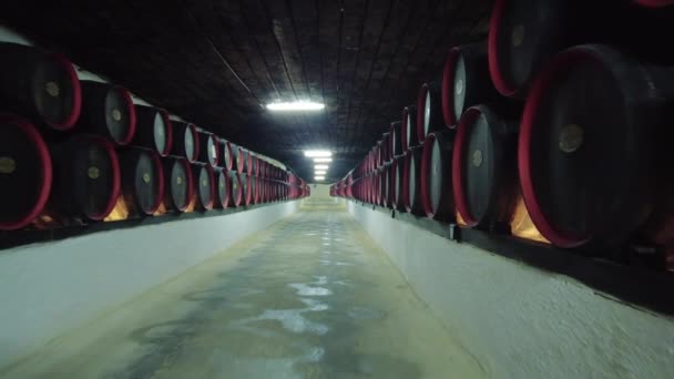 Cricova Moldova Oktober 2021 Cricova Kelders Wijnkelder Galerij Met Flessen — Stockvideo