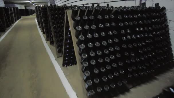 Butelki Winie Winiarni — Wideo stockowe