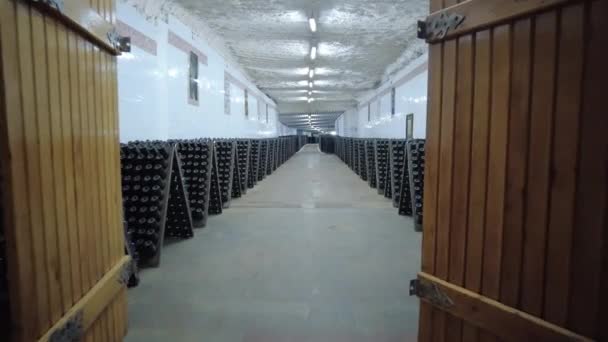 Wine Bottles Winery Cellar — Stock Video