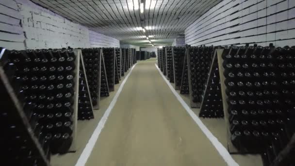 Şarap Mahzeninde Şarap Şişeleri — Stok video