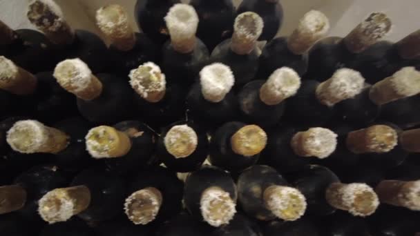 Butelki Winie Winiarni — Wideo stockowe