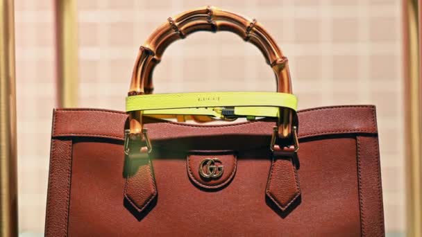 Cannes France August 2021 Gucci Women Bag — Stock Video