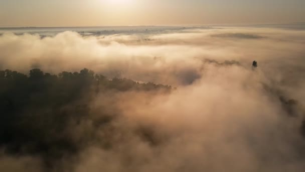 Vista Aérea Naturaleza Moldavia Atardecer Río Niebla Exuberante Por Encima — Vídeos de Stock