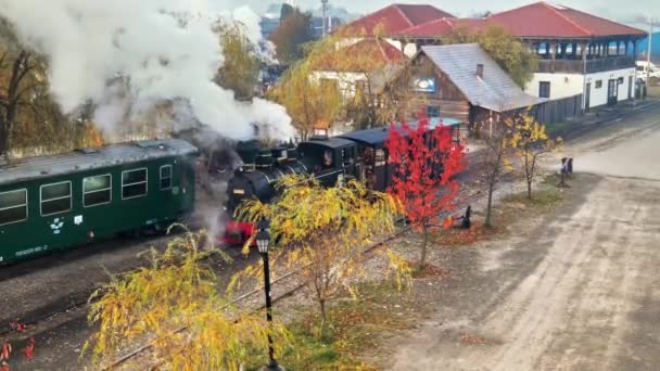 มมองโดรนทางอากาศของรถไฟไอน าบาดแผล มอคาน สถาน รถไฟใน Viseu Sus โรมาเน — วีดีโอสต็อก